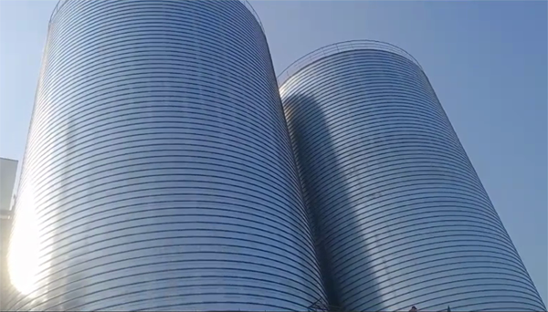 玉屏2座混凝土高架卷板仓